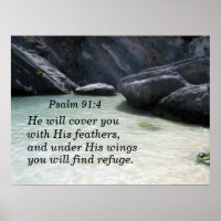 Psalm 91:4 Er wird dich mit seinen Federn bedecken