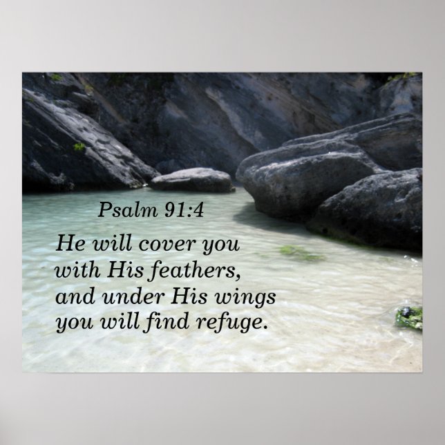 Psalm 91:4 Er wird dich mit seinen Federn bedecken Poster (Vorne)