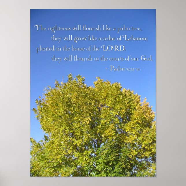 Psalm 92 Blue Sky Poster (Vorne)