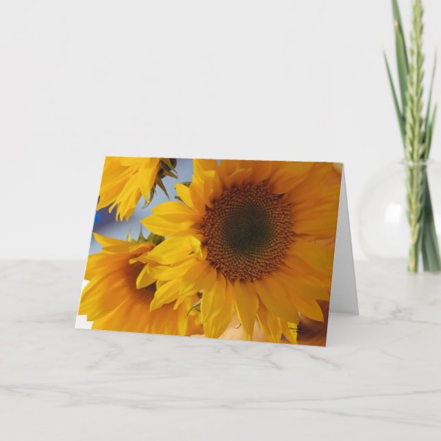 Psalm 96:1 Sonnenblumen Blanko  Karte (Vorderseite)