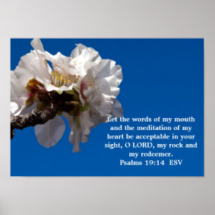 Psalmen 19:14 Poster