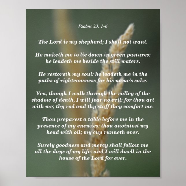 Psalmen 23: 1-6 poster (Vorne)