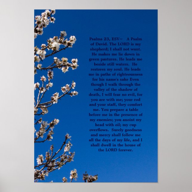 Psalmen 23 Poster (Vorne)