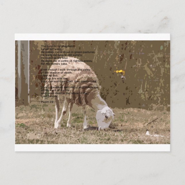 Psalmen 23 postkarte (Vorderseite)