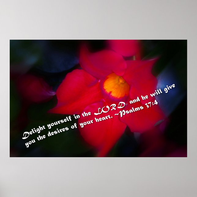 Psalmen 37:4 poster (Vorne)