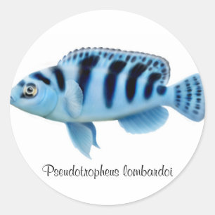 Pseudotropheus lombardoi afrikanischer runder aufkleber