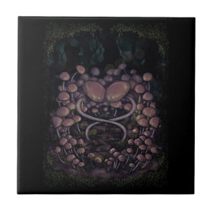 Psilocybe Allenii Fliese