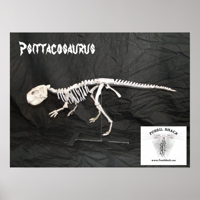 Psittacosaurus Skeleton Poster (Vorne)