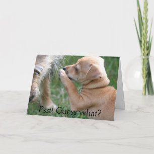 Psst! Vermutung was? Karte