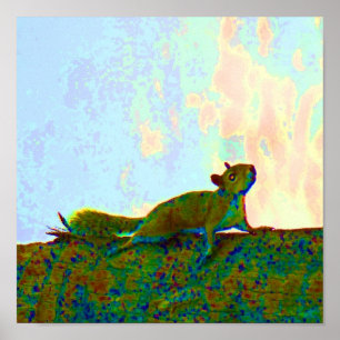 psychadelic Foto des Eichhörnchens Poster