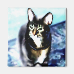 Psychadelic Miezekatze Magnet