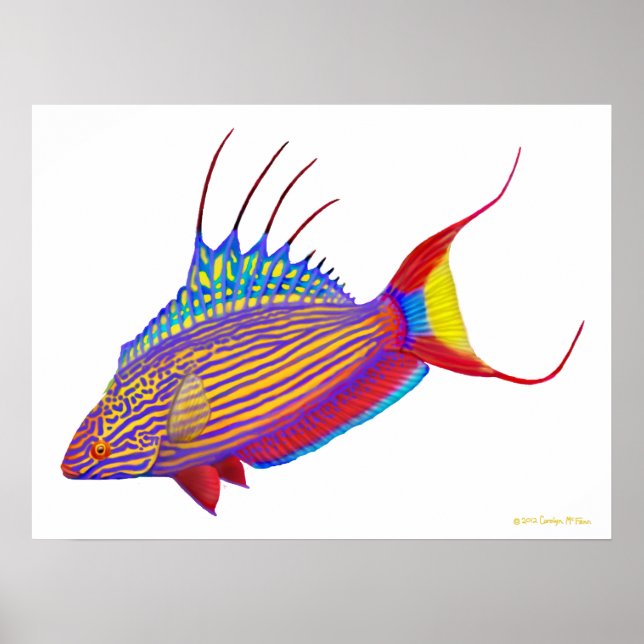 Psychedelic Bell's Flasher Wrasse Fish Poster (Vorne)