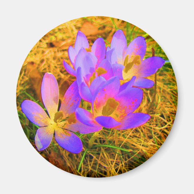 Psychedelic Crocus Magnet (Vorne)