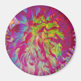 Psychedelic Magenta und Yellow Dahlia Blume Magnet