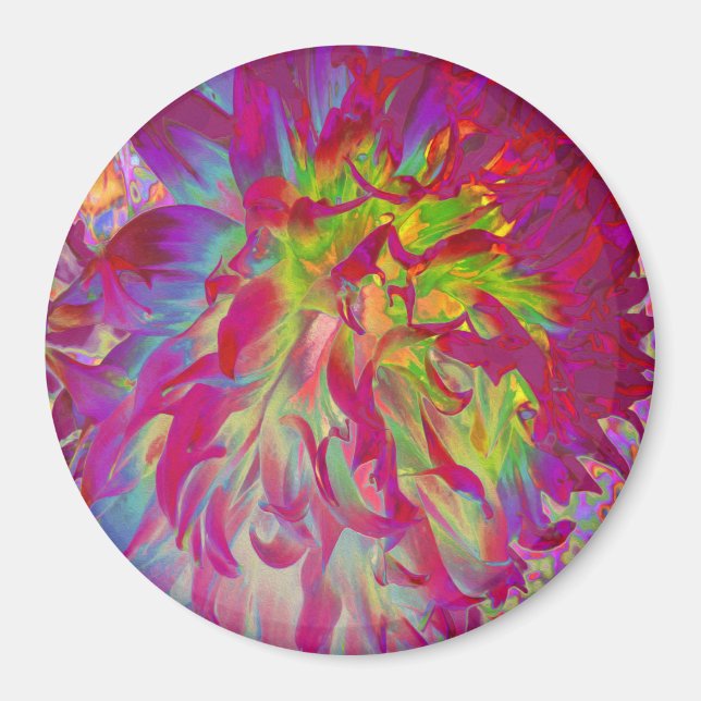 Psychedelic Magenta und Yellow Dahlia Blume Magnet (Vorne)