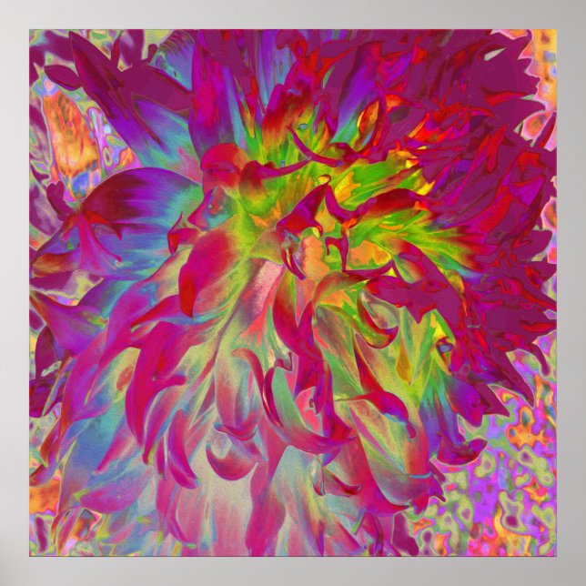 Psychedelic Magenta und Yellow Dahlia Blume Poster (Vorne)