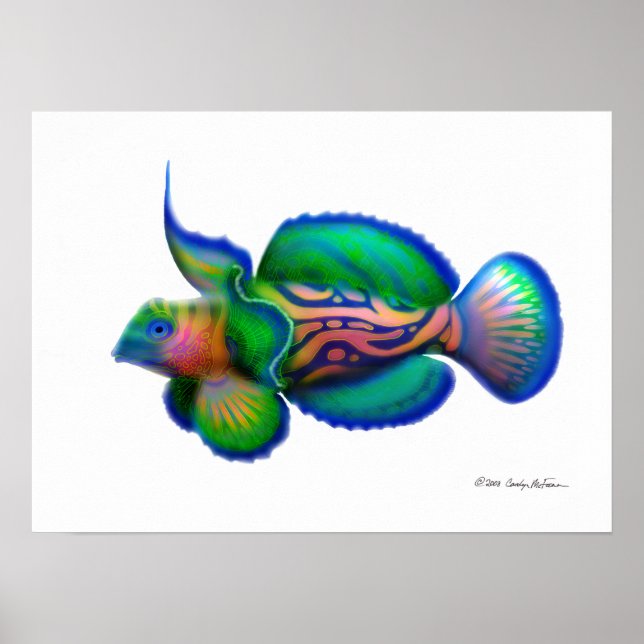 Psychedelic Mandarin Fish Poster (Vorne)