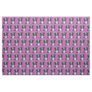Psychedelic Moon Dog Border Collie Fabric Stoff