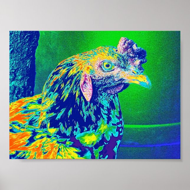 "Psychedelic Rooster" Poster (Vorne)