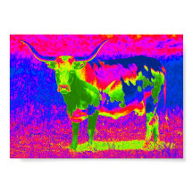 Psychedelic Texas Longhorn Cow
