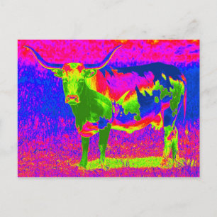 Psychedelic Texas Longhorn Cow Postkarte