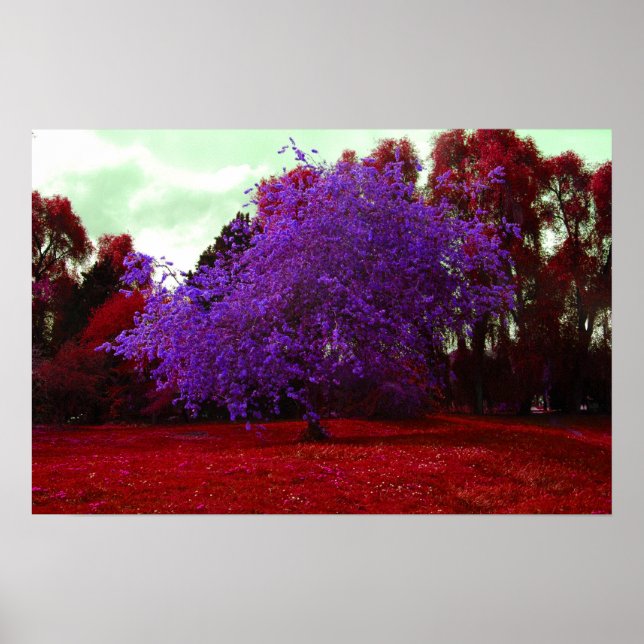 Psychedelic Tree Poster (Vorne)