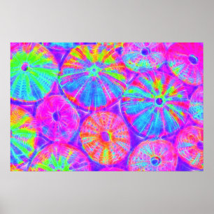 Psychedelic Urchins Poster