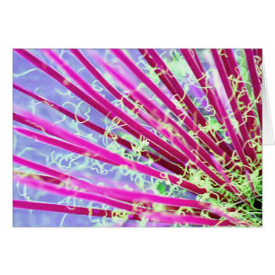 Psychedelic Yucca Abstrakt Red