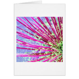 Psychedelic Yucca Abstrakt Red