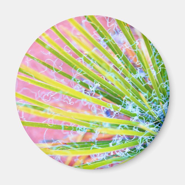 Psychedelic Yucca Magnet (Vorne)