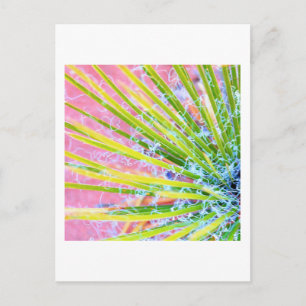 Psychedelic Yucca Postkarte