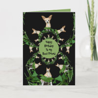 Psychedelisch Beige Chihuahua Humorose Geburtstag