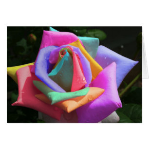 Psychedelische RegenbogenRose