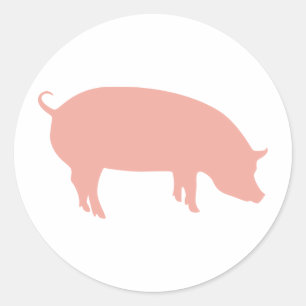 Psychisches Schweinefleisch Euro 2012 Runder Aufkleber