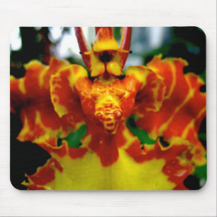 Psychopsis-Orchidee Mousepad