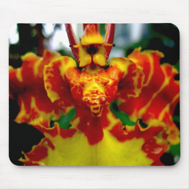 Psychopsis-Orchidee Mousepad (Vorne)