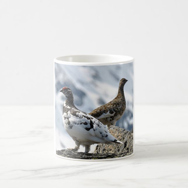 Ptarmigan Kaffeetasse (Mittel)