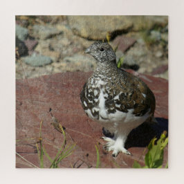 Ptarmigan, weißschwänzend, 676 Stück Puzzle