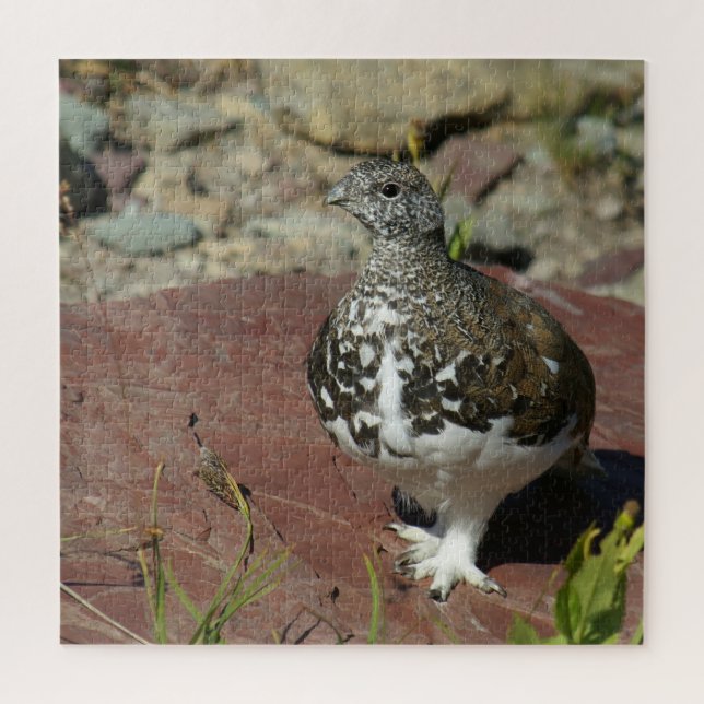 Ptarmigan, weißschwänzend, 676 Stück Puzzle (Vertikal)