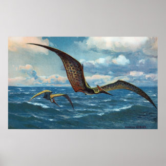 Pteranodon Antiquitdruck Poster
