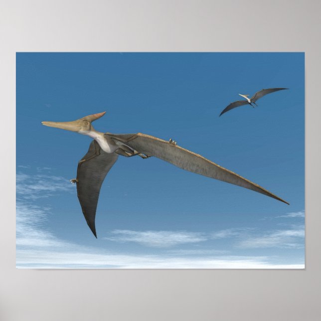 Pteranodon-Dinosaurier fliegen - 3D-Darstellung Poster (Vorne)