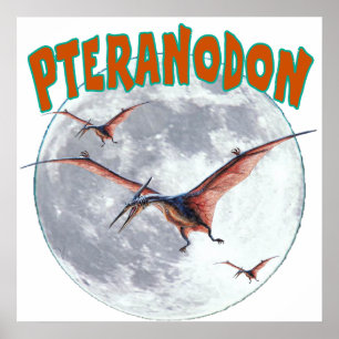 Pteranodon-Dinosaurier Poster