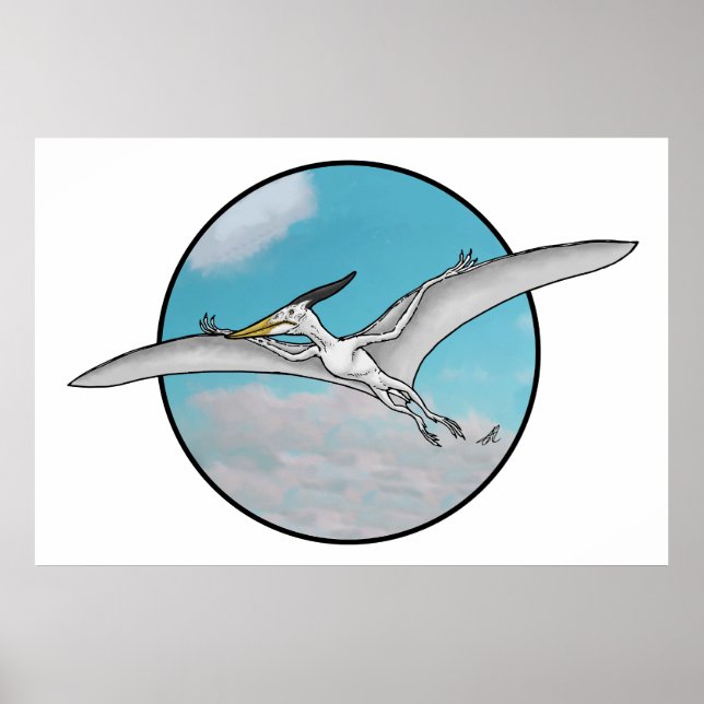 Pteranodon Poster (Vorne)