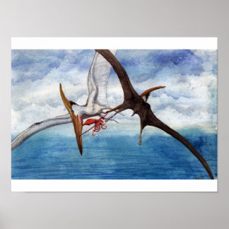 Pteranodon Print Poster