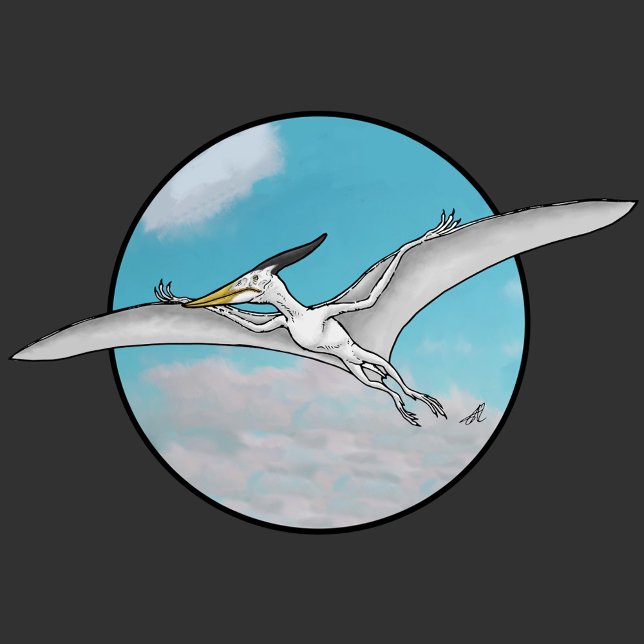 Pteranodon T-Shirt (Von Creator hochgeladen)