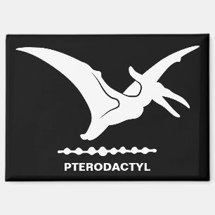 Pterodactyl Dinosaur Silhouette Magnet