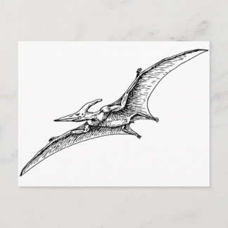 Pterodactyl Postkarte