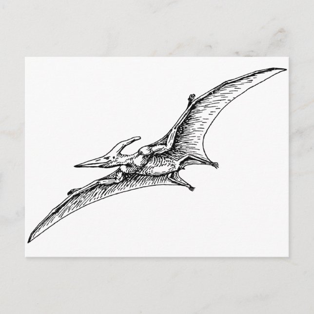 Pterodactyl Postkarte (Vorderseite)