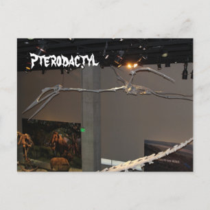 Pterodactyl Postkarte