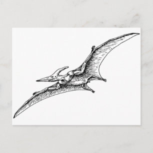 Pterodactyl Postkarte